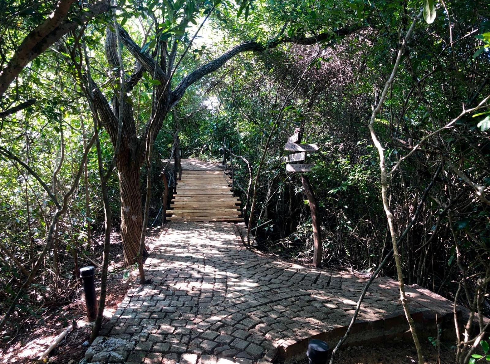Cloud Nine Wilpattu By Aaradhya Hotel Wanathavilluwa Kültér fotó